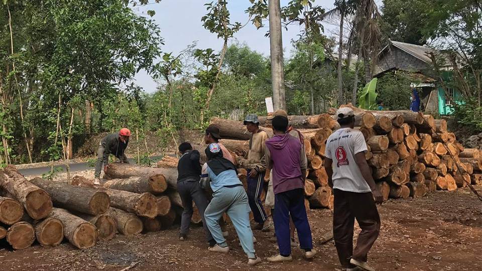 https://www.forestdigest.com/detail/1188/apa-itu-mengelola-hutan-lestari