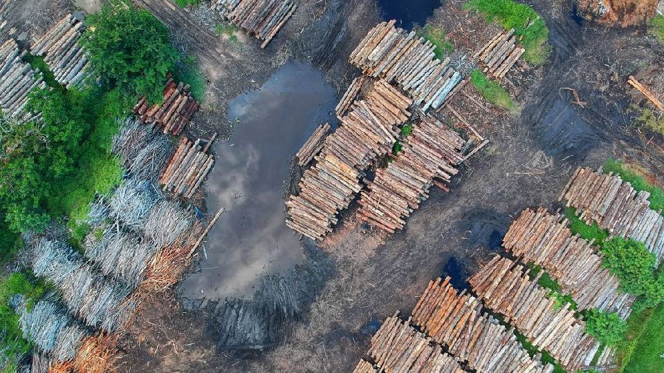 Photo by Pok Rie: https://www.pexels.com/photo/bird-s-eye-view-of-woodpile-1268076/