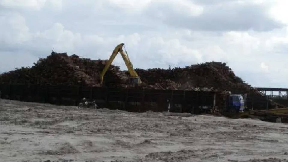 PERKIRAAN PENGGUNAAN SUMBER BAHAN BAKU INDUSTRI PULP & PAPER