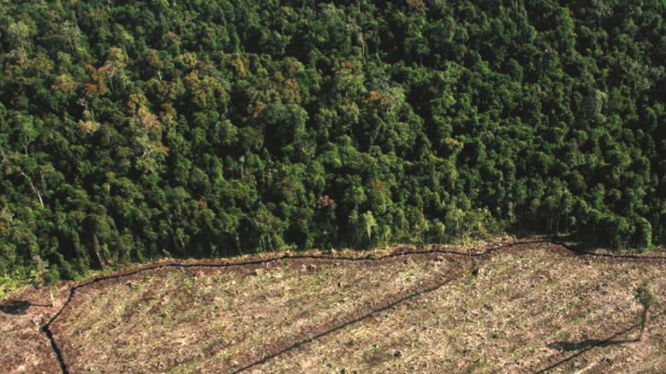 Catatan Kritis Koalisi LSM Terhadap Legalitas dan Kelestarian Hutan Indonesia: Studi Independen Terhadap Sertifikasi SVLK