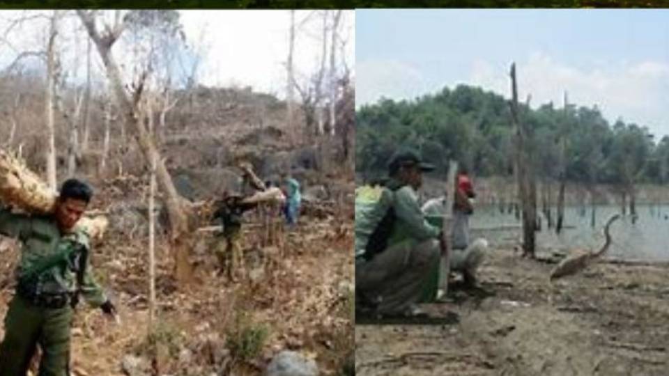 PEDOMAN PENYAMPAIAN INFORMASI TINDAK PIDANA PENCUCIAN UANG DAN TINDAK PIDANA KEHUTANAN