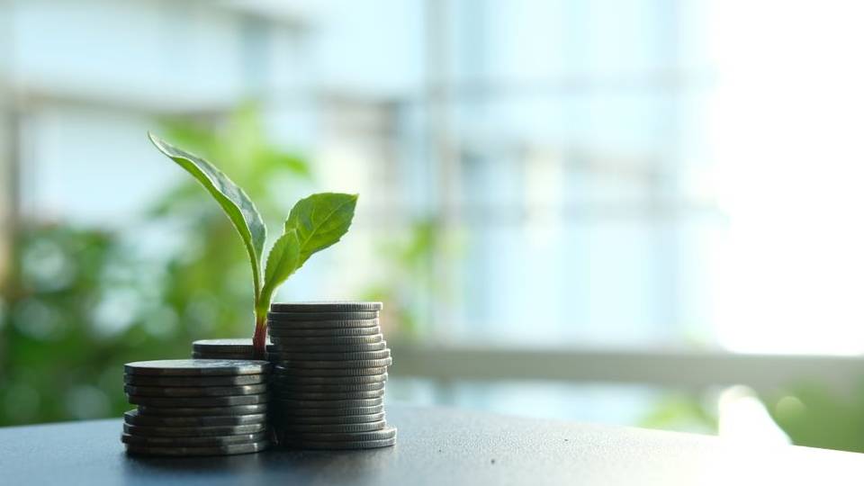Photo by Towfiqu barbhuiya: https://www.pexels.com/photo/green-plant-between-a-pile-of-silver-coins-11391951/