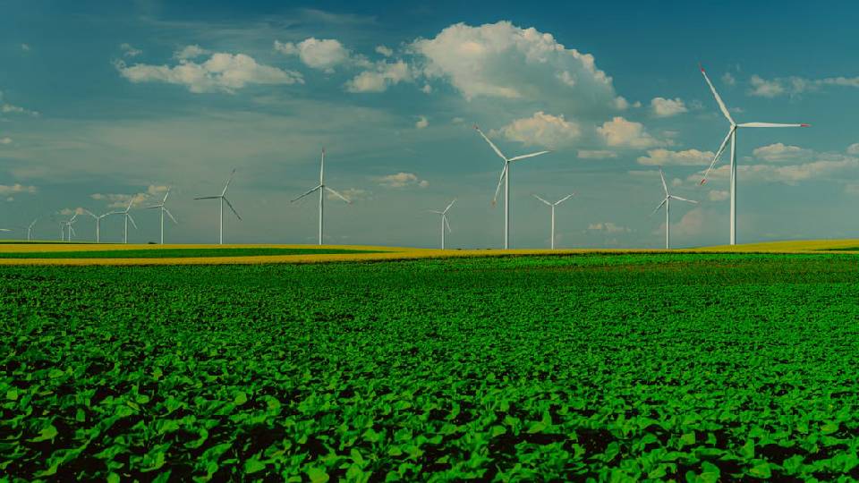 Perlunya Pendanaan Hijau (Green Finance) dalam FOLU Net Sink 2030
