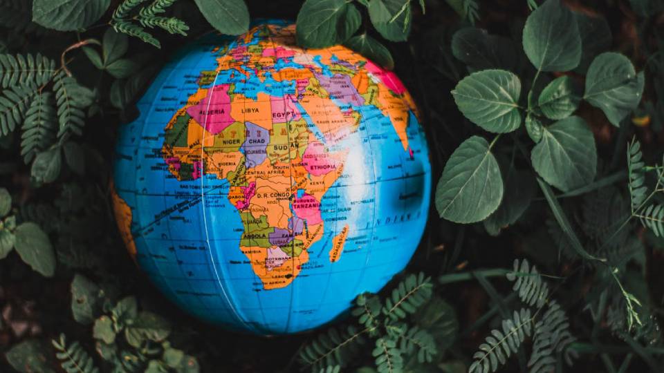 Photo by Nothing Ahead: https://www.pexels.com/photo/globe-in-green-leaves-4715450/