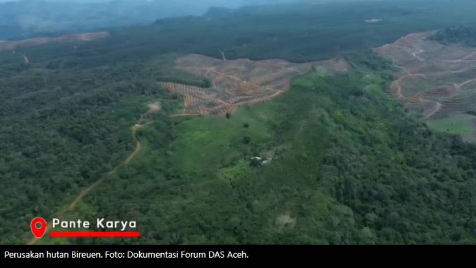 PPATK Didesak Ungkap Aliran Dana Pejabat Kehutanan dan Perizinan di Aceh